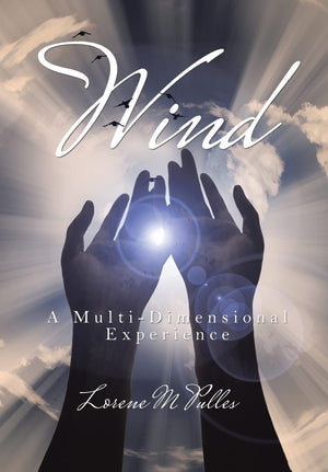 Wind: A MultiDimensional Experience,Used