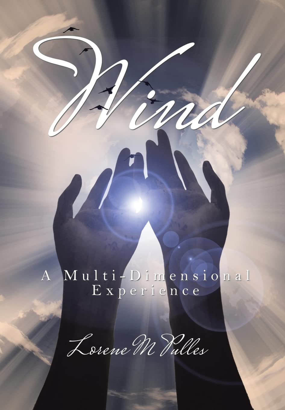 Wind: A MultiDimensional Experience,Used