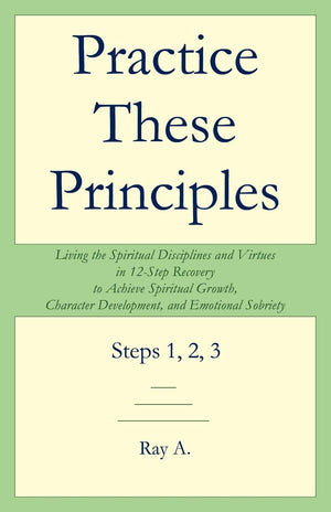 Practice These Principles: Living the Spiritual Disciplines and Virtues in 12Step Recovery to Achieve Spiritual Growth, Charact,Used