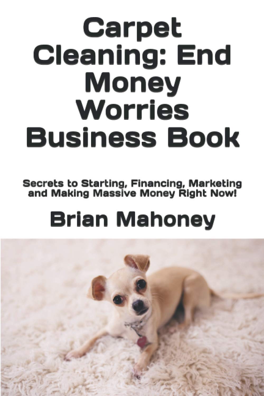 Carpet Cleaning: End Money Worries Business Book: Secrets to Starting, Financing, Marketing and Making Massive Money Right Now!,Used