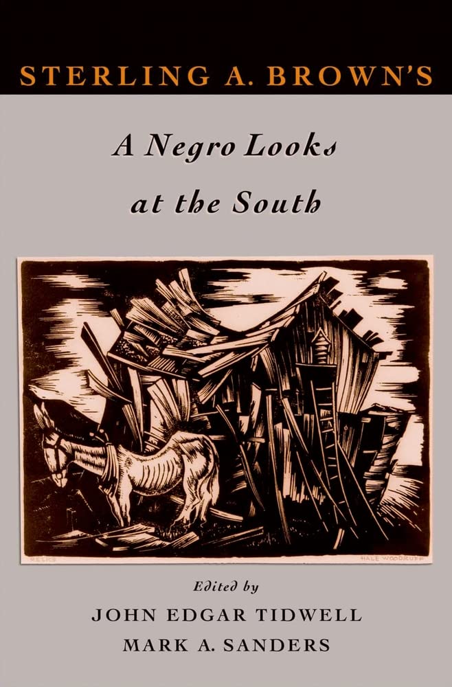 Sterling A. Brown'S A Negro Looks At The South