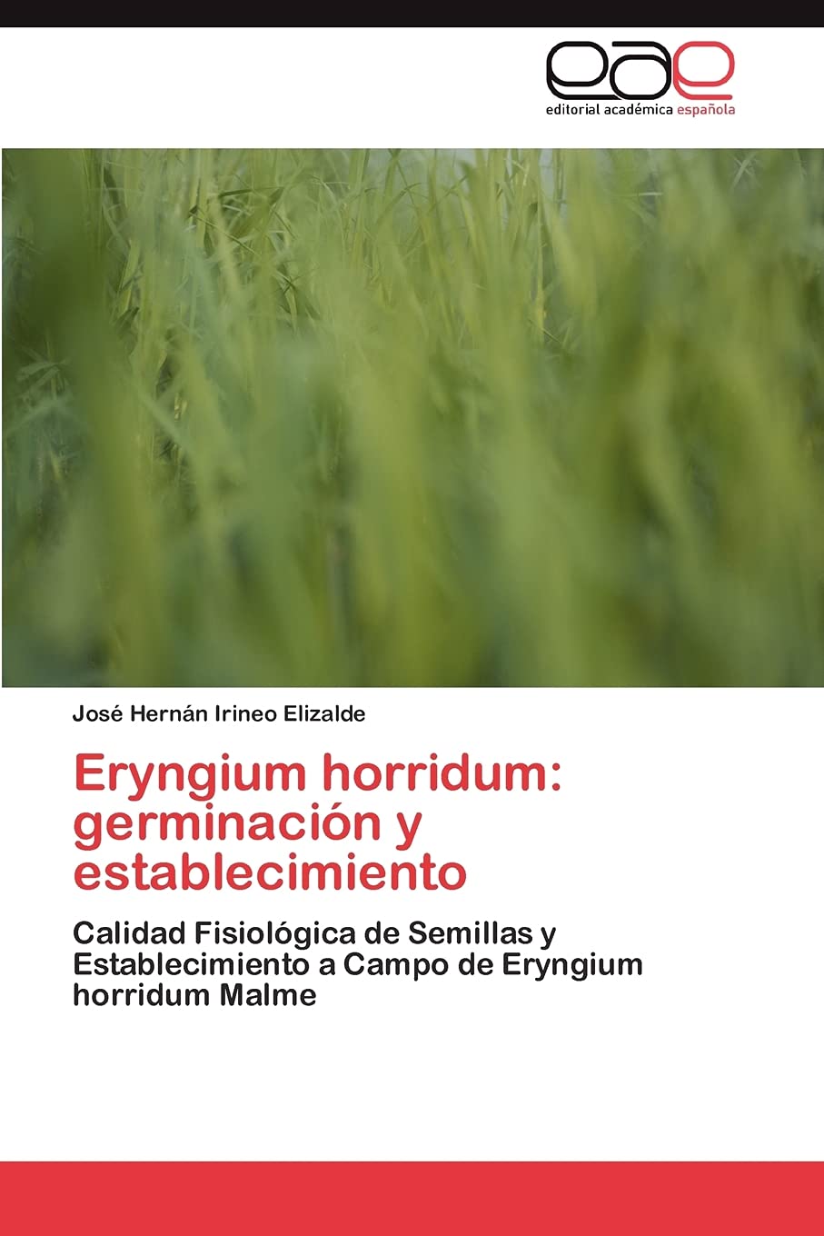 Eryngium horridum: germinacin y establecimiento: Calidad Fisiolgica de Semillas y Establecimiento a Campo de Eryngium horrid,Used