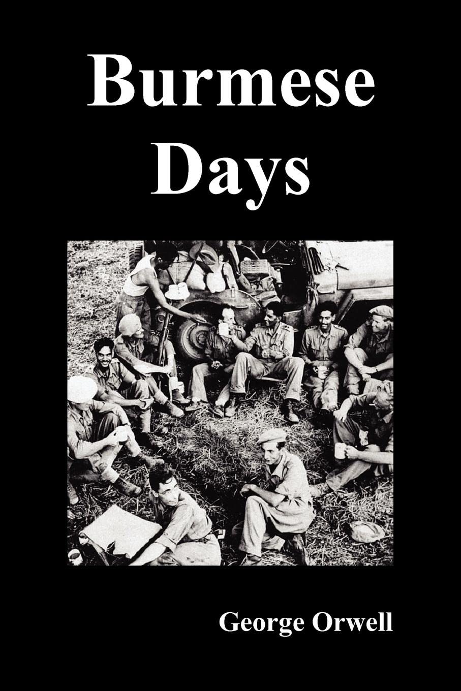 Burmese Days,Used