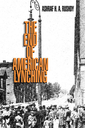 The End of American Lynching,Used