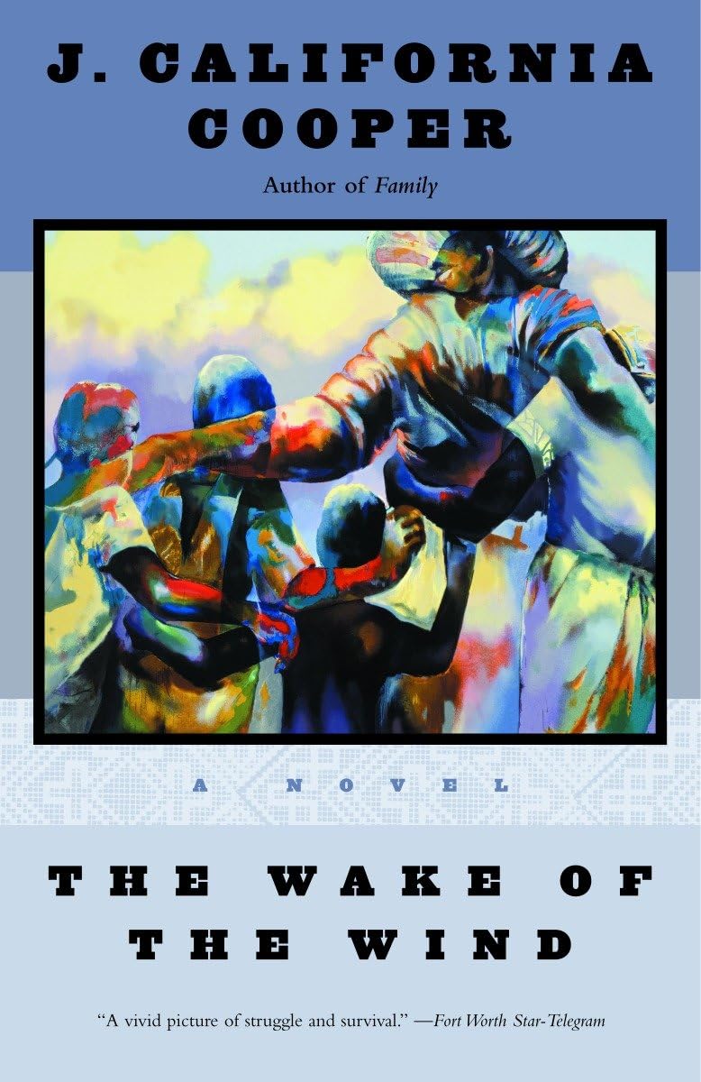 The Wake of the Wind: A Novel,Used