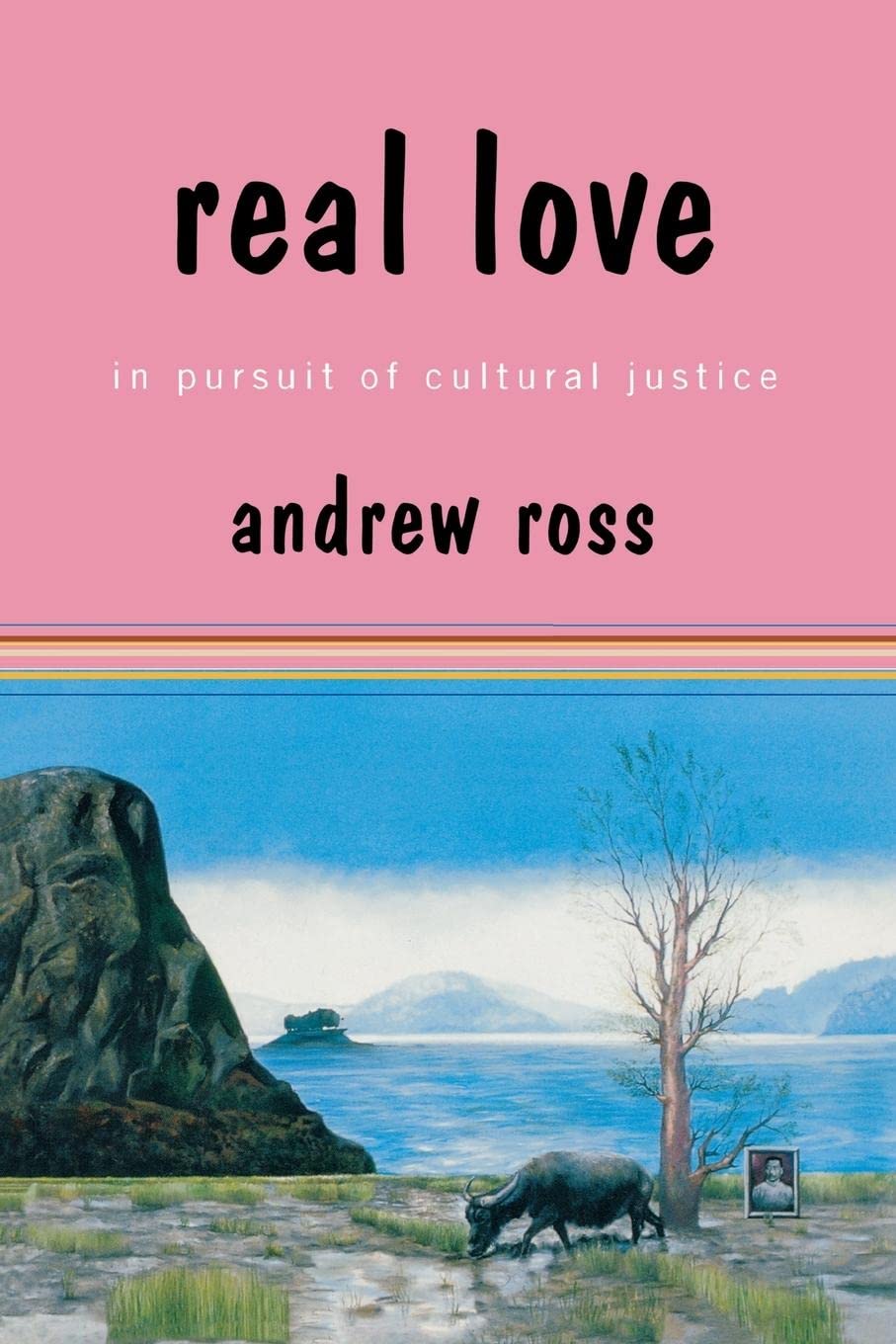 Real Love: In Pursuit Of Cultural Justice,Used