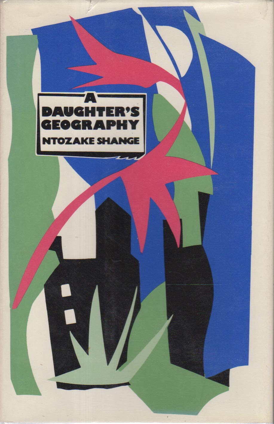 A Daughters Geography-used