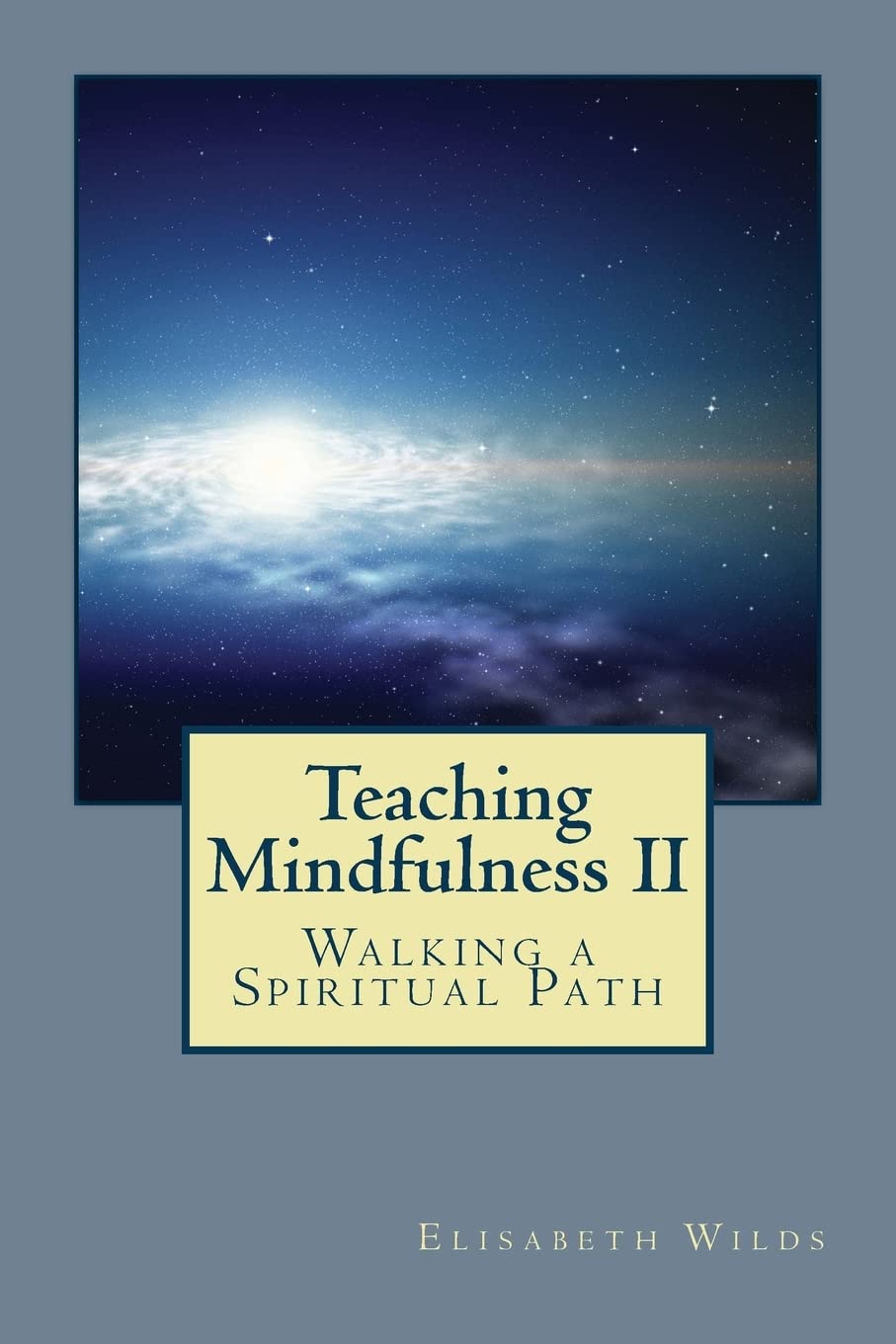 Teaching Mindfulness Ii: Walking A Spiritual Path,Used