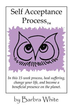 Self Acceptance Process (Tm),Used