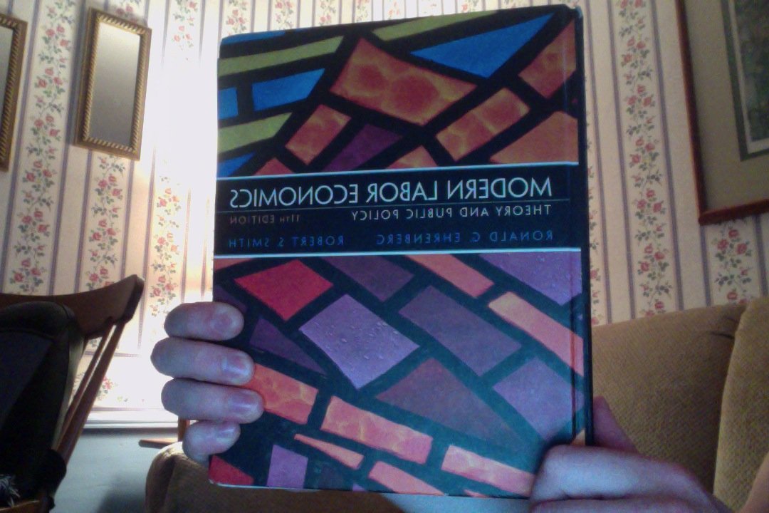 Modern Labor Economics: Theory And Public Policy,Used