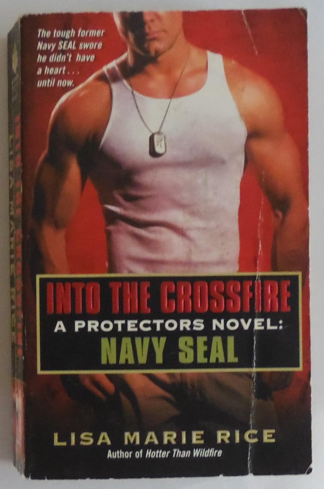 Into The Crossfire: A Protectors Novel: Navy Seal (The Protectors Trilogy, 1),Used