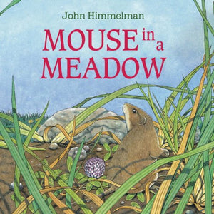 Mouse in a Meadow,Used