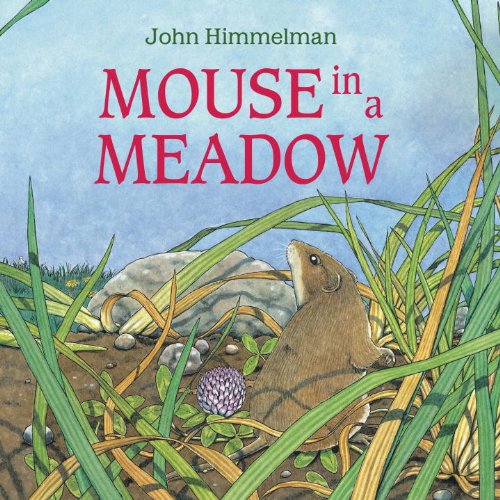 Mouse in a Meadow,Used