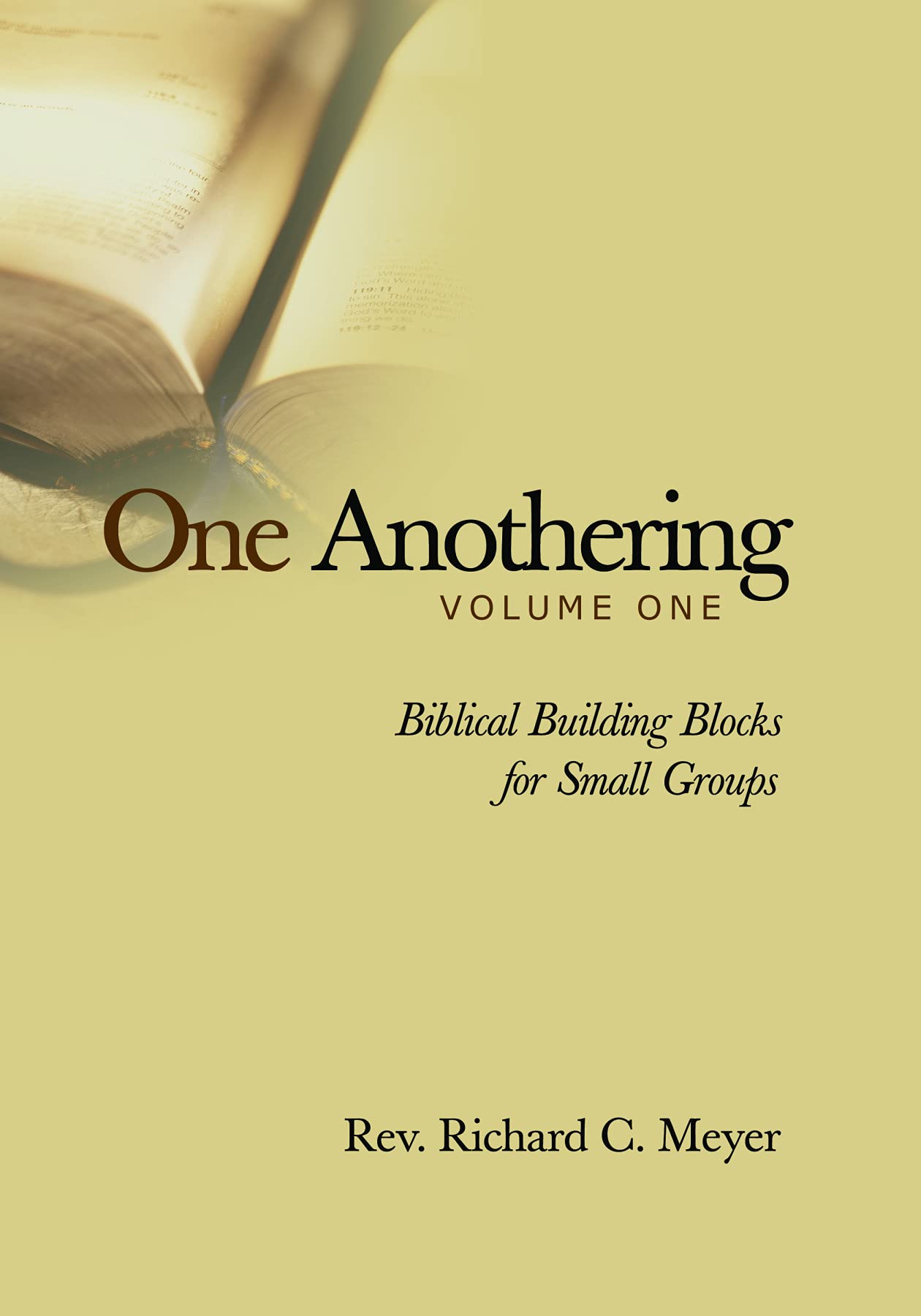 One Anothering, Volume 1: Biblical Building Blocks for Small Groups,Used