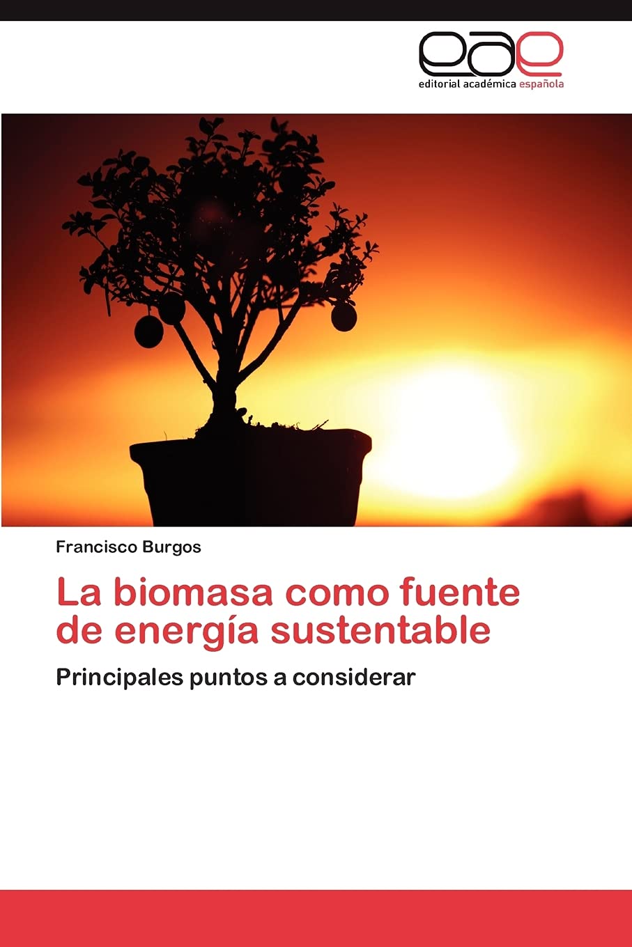 La biomasa como fuente de energa sustentable: Principales puntos a considerar (Spanish Edition),Used