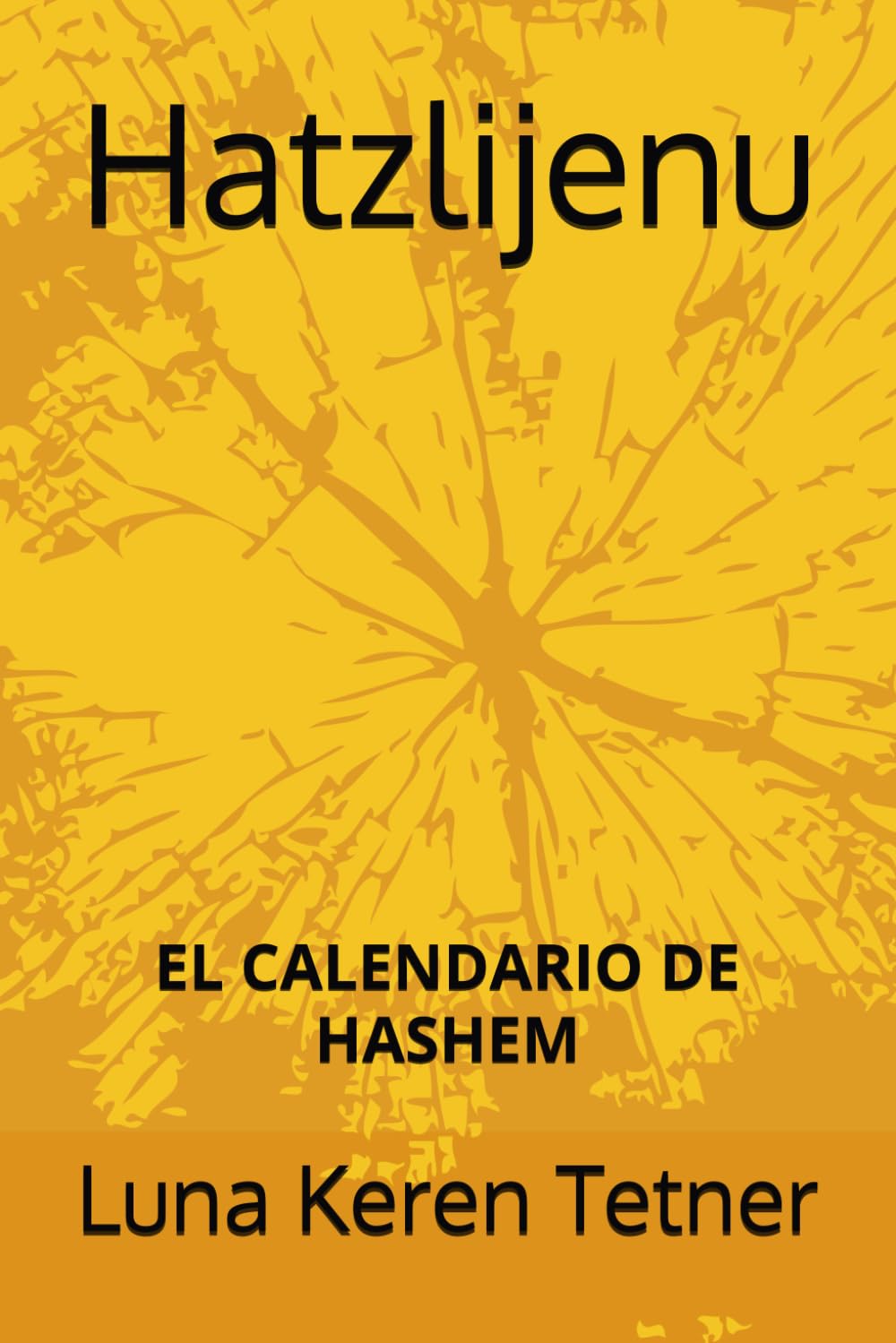 El Calendario de Hashem: Hatzlijenu Tomo Dos (Spanish Edition),Used