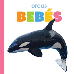 Orcas Bebs (Spanish Edition)
