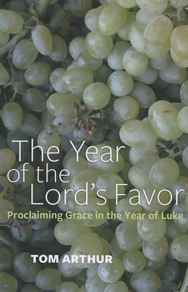 The Year of the Lord's Favor: Proclaiming Grace in the Year of Luke,Used