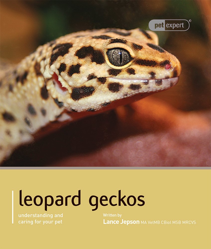 Leopard Gecko (Pet Expert),Used