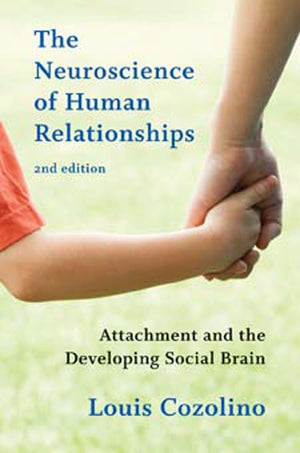 The Neuroscience Of Human Relationships: Attachment And The Developing Social Brain (Norton Series On Interpersonal Neurobiology