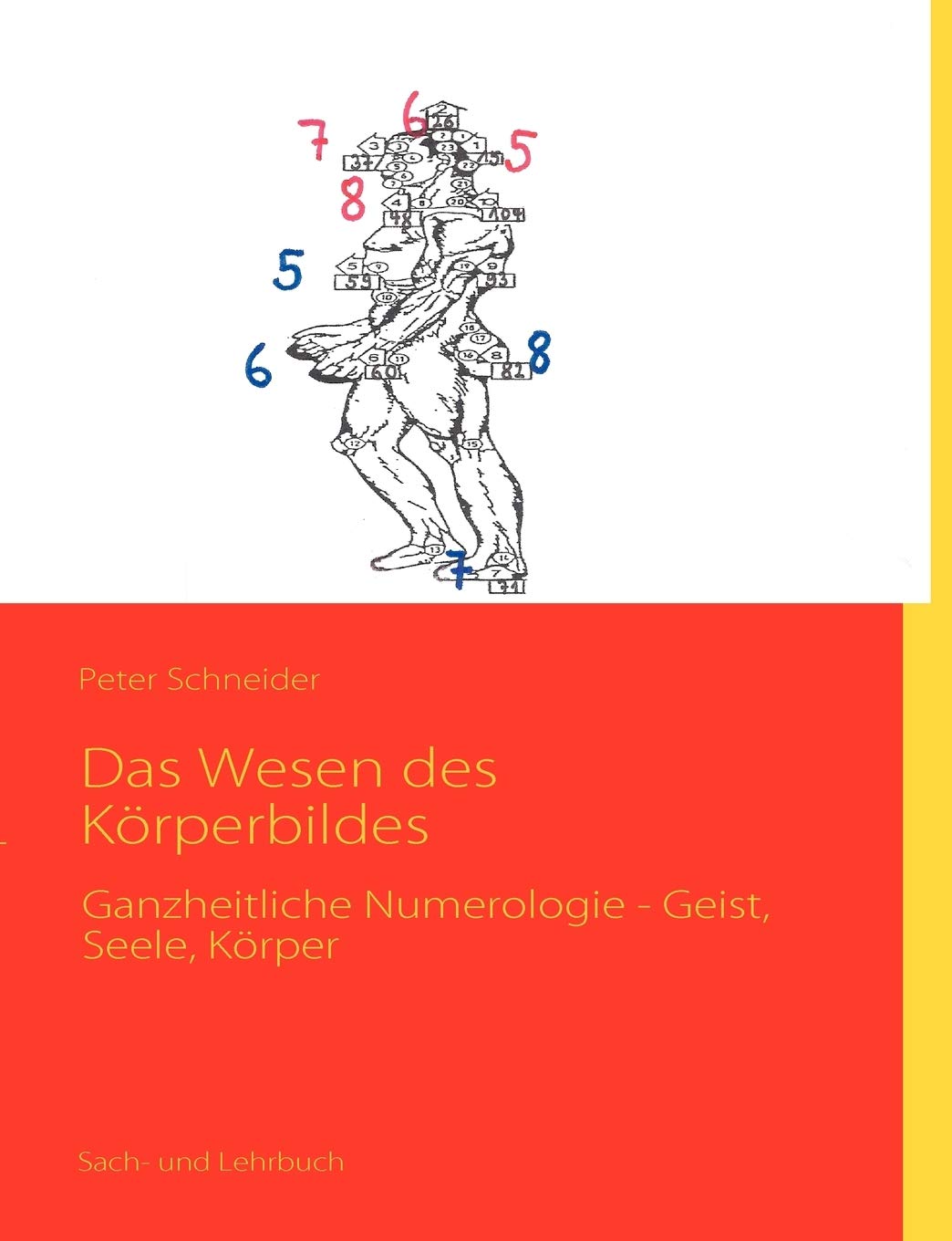 Das Wesen des Krperbildes: Ganzheitliche Numerologie  Geist, Seele, Krper (German Edition),Used
