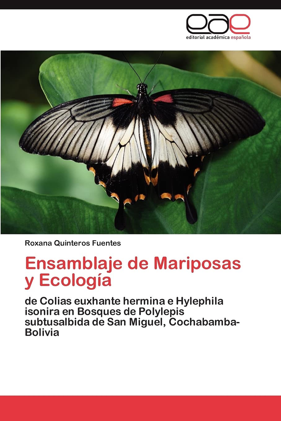 Ensamblaje de Mariposas y Ecologa: de Colias euxhante hermina e Hylephila isonira en Bosques de Polylepis subtusalbida de San ,Used