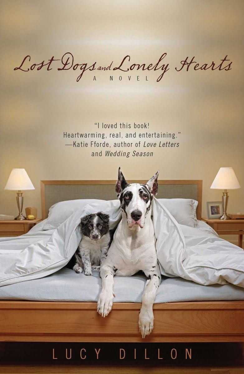 Lost Dogs and Lonely Hearts,Used