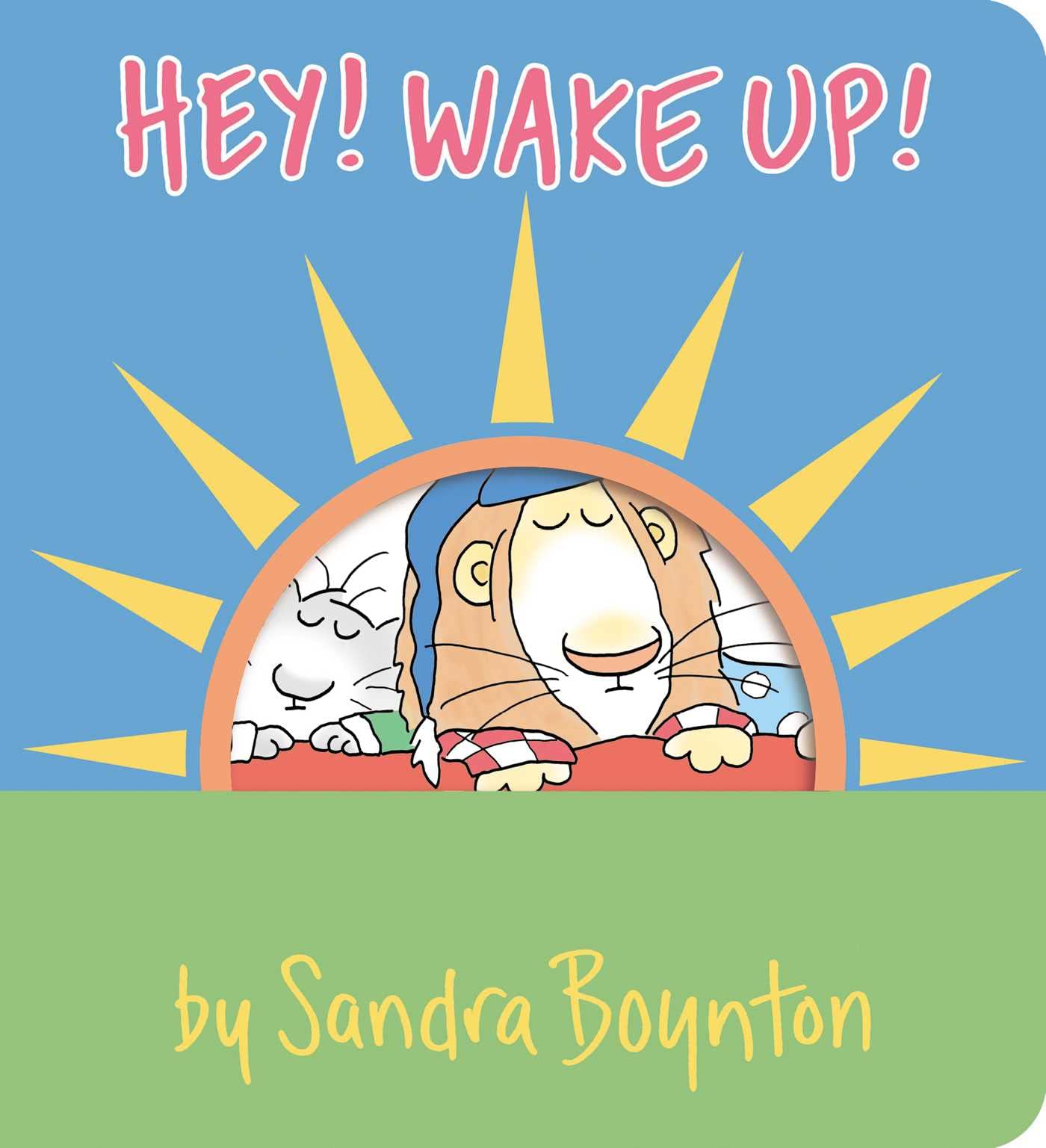 Hey! Wake Up! (Boynton On Board),Used