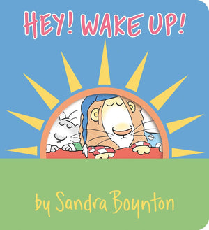 Hey! Wake Up! (Boynton On Board),Used