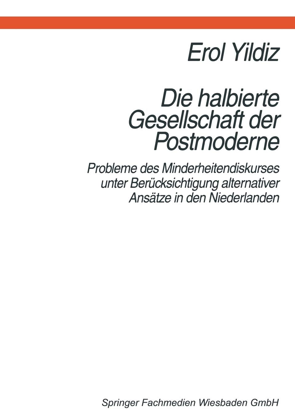Die halbierte Gesellschaft der Postmoderne: Probleme des Minderheitendiskurses unter Bercksichtigung alternativer Anstze in der ,Used
