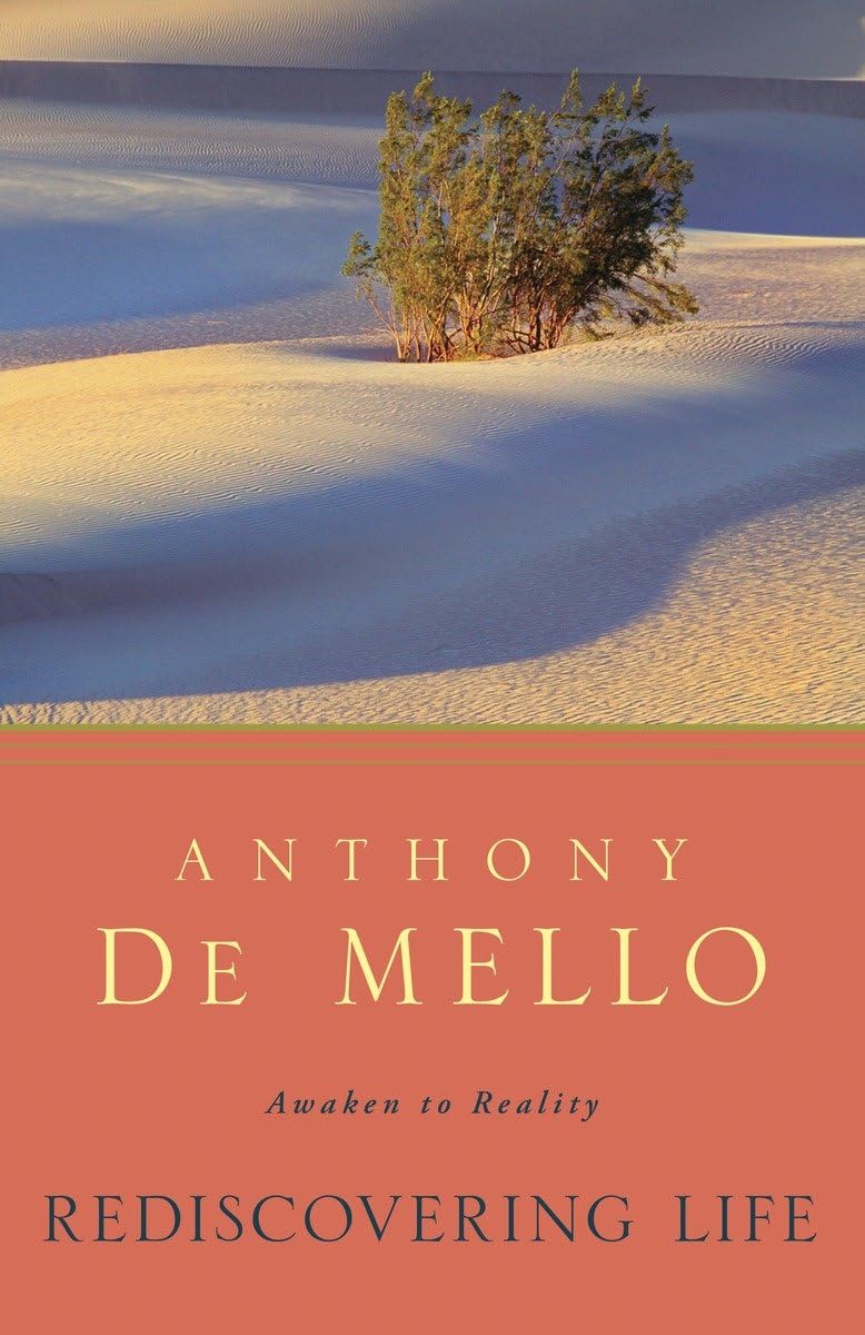 Rediscovering Life: Awaken To Reality,New