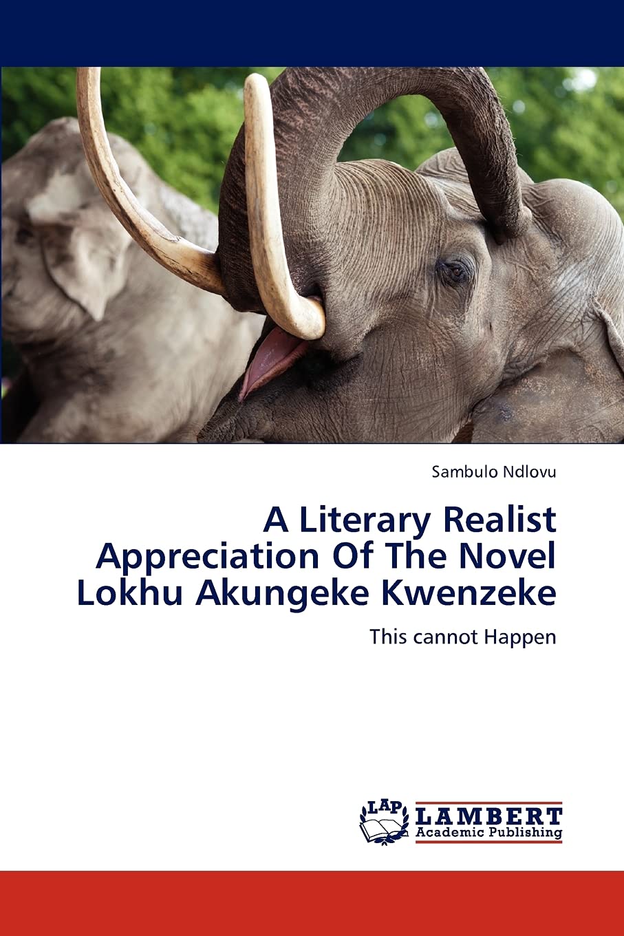 A Literary Realist Appreciation Of The Novel Lokhu Akungeke Kwenzeke: This cannot Happen,Used