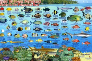 Tahiti & Society Islands Dive Map & Reef Creatures Guide Franko Maps Laminated Fish Card,New