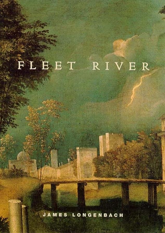 Fleet River (Phoenix Poets),Used