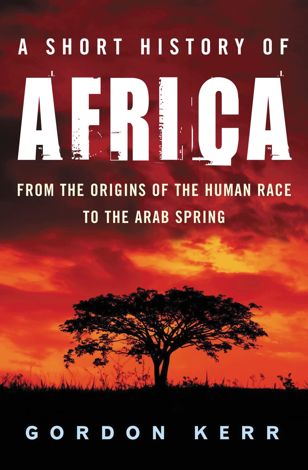 A Short History of Africa: From the Origins of the Human Race to the Arab Spring,New