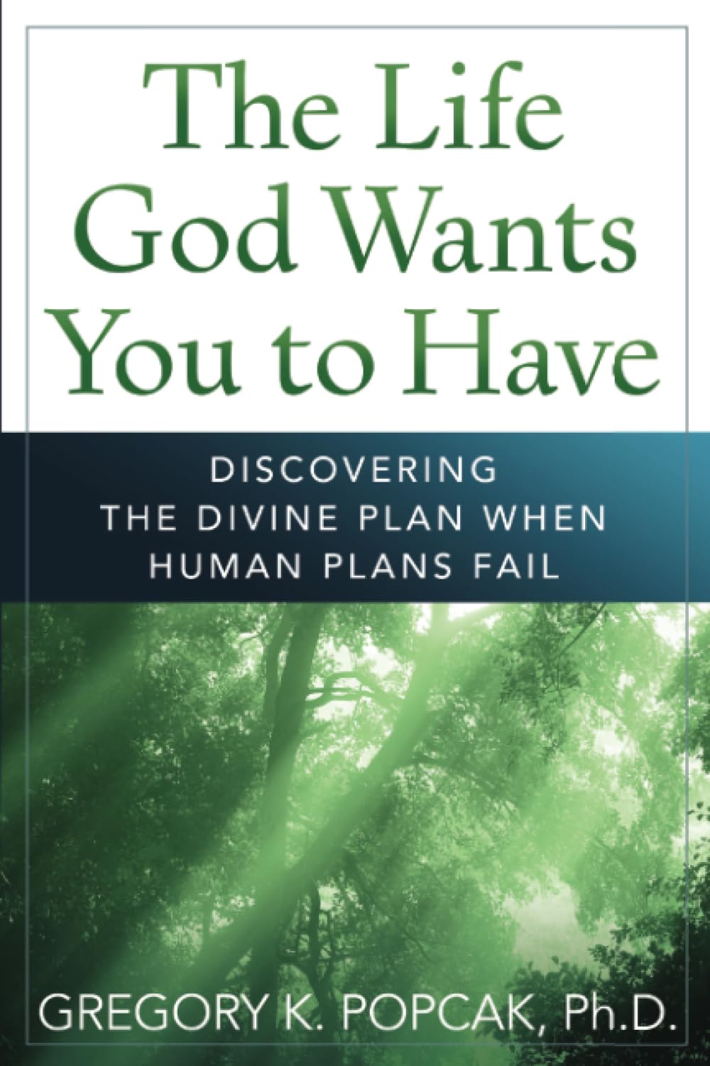 The Life God Wants You to Have: Discovering the Divine Plan When Human Plans Fail,Used