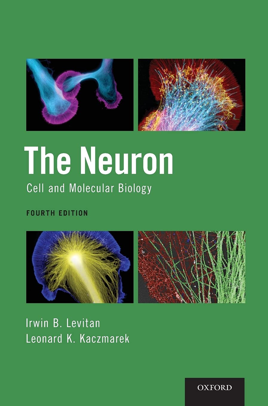 The Neuron: Cell And Molecular Biology,New