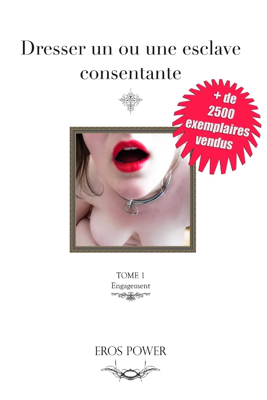Dresser un ou une esclave consentante: le 1er guide des relations Domination soumission (French Edition),Used