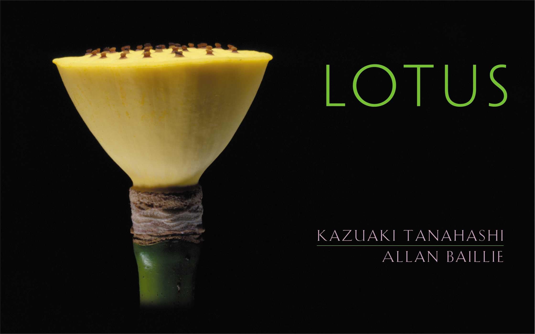 Lotus,Used