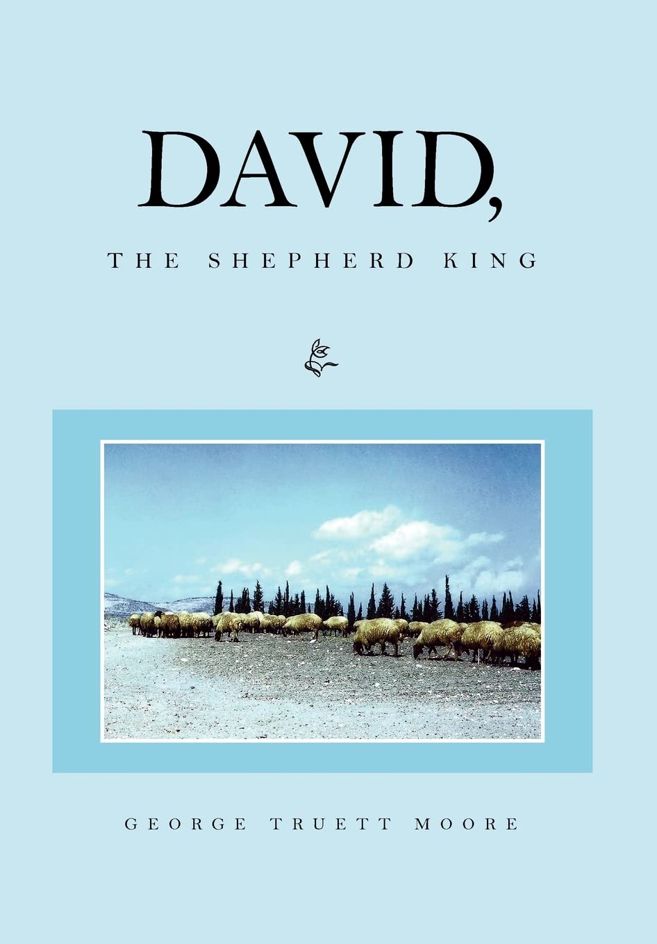David, The Shepherd King,Used