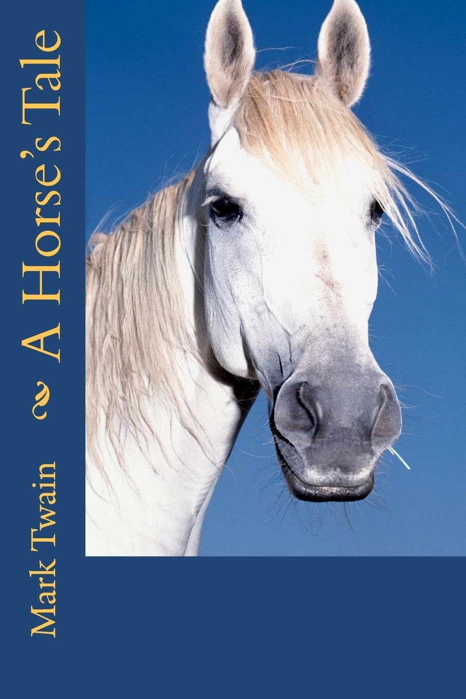 A Horse'S Tale,New