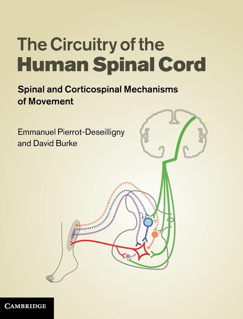 The Circuitry of the Human Spinal Cord: Spinal and Corticospinal Mechanisms of Movement,Used
