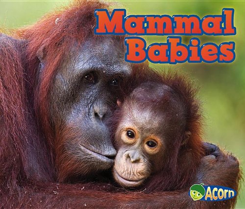 Mammal Babies (Acorn),Used