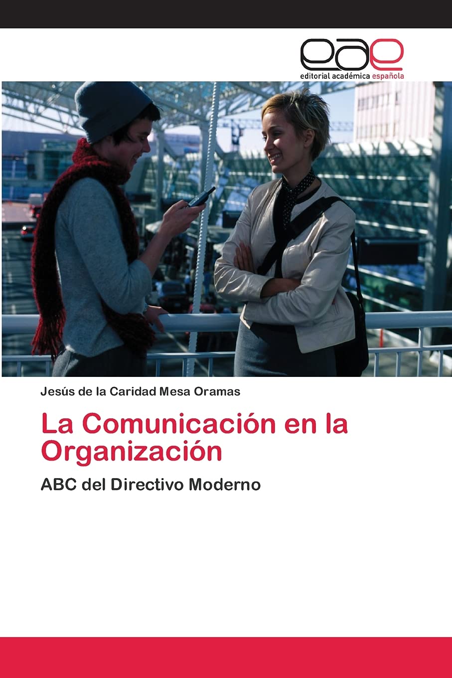 La Comunicacin en la Organizacin: ABC del Directivo Moderno (Spanish Edition),Used