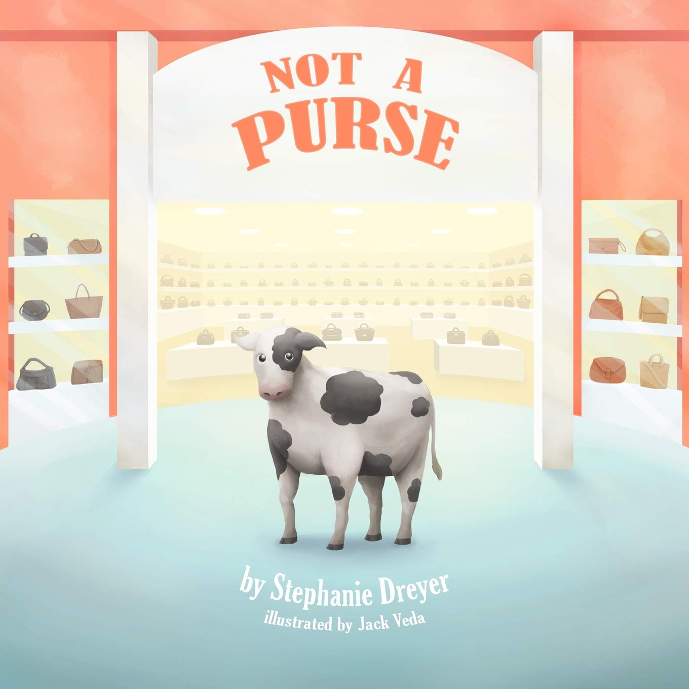 Not A Purse,Used