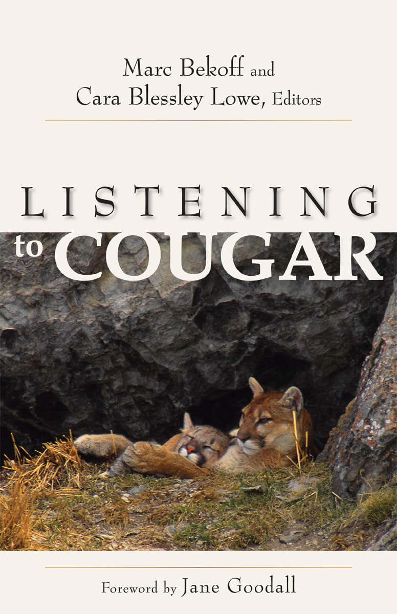 Listening To Cougar,New