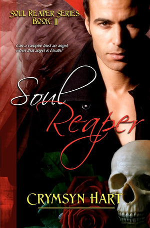 Soul Reaper Series Book Ii: Soul Reaper,Used