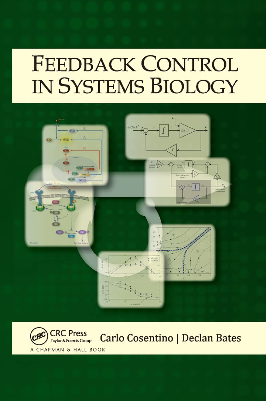 Feedback Control in Systems Biology,New