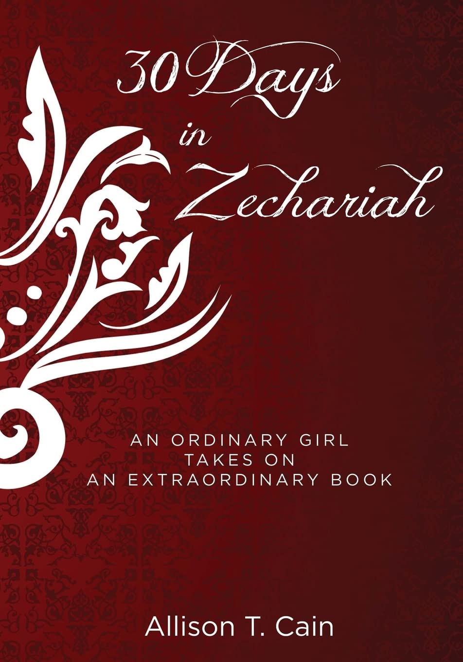 Thirty Days In Zechariah: An Ordinary Girl Takes On An Extraordinary Book,Used