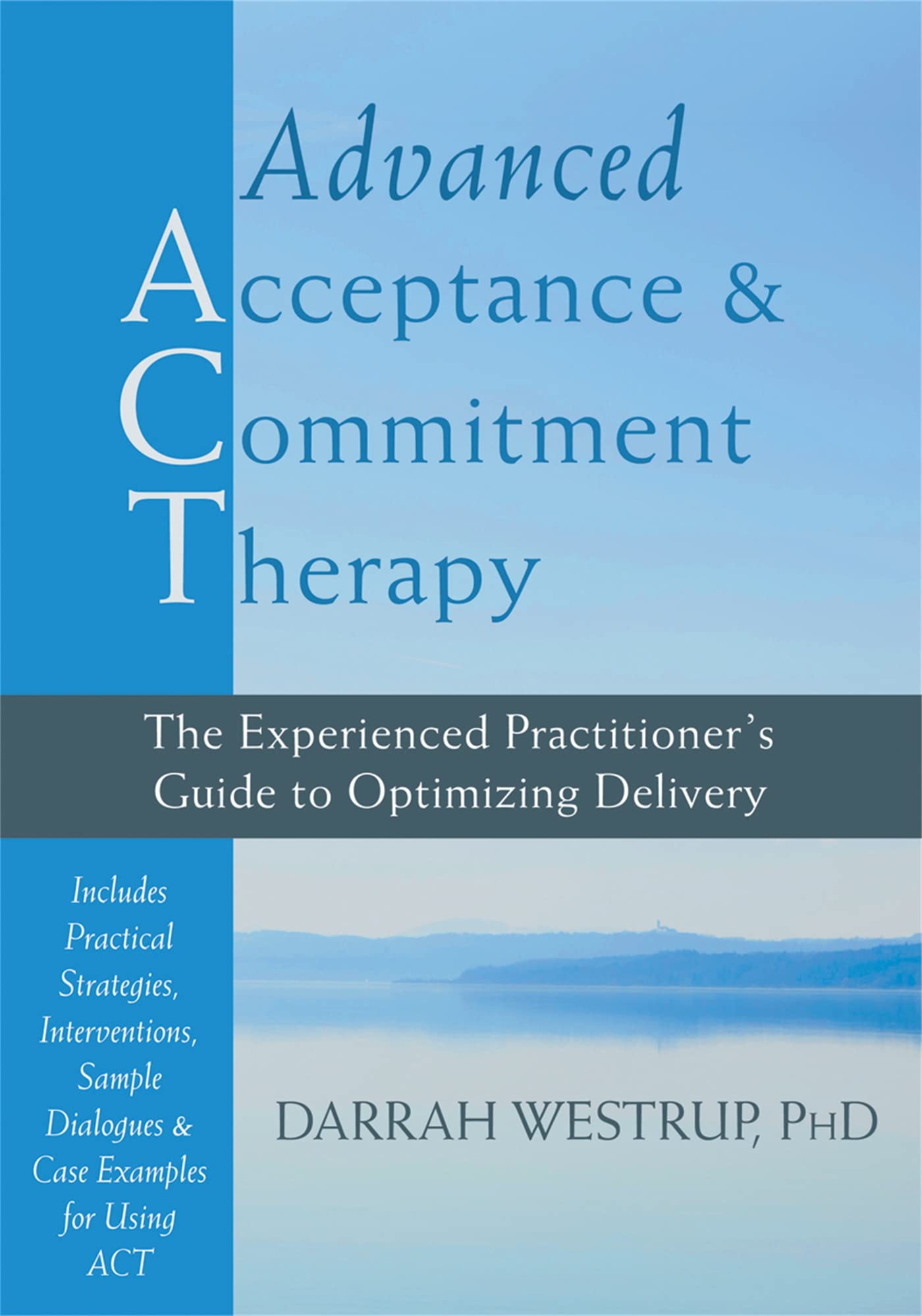 Advanced Acceptance and Commitment Therapy: The Experienced Practitioners Guide to Optimizing Delivery,Used